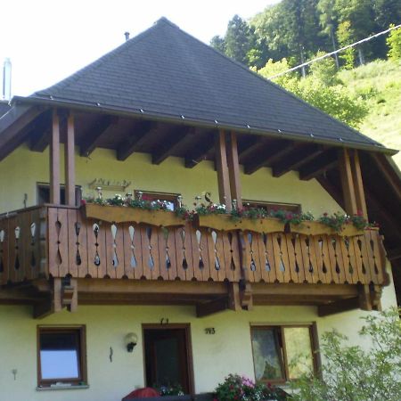Haus Am Bach Apartment Фрайбург Екстериор снимка