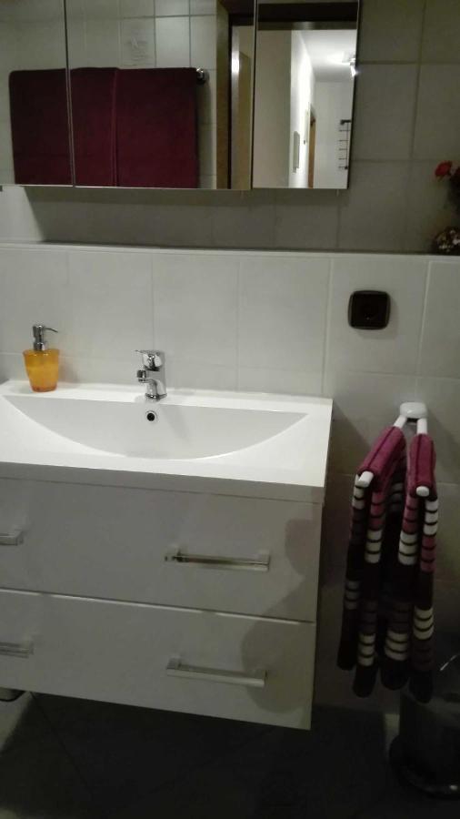 Haus Am Bach Apartment Фрайбург Екстериор снимка